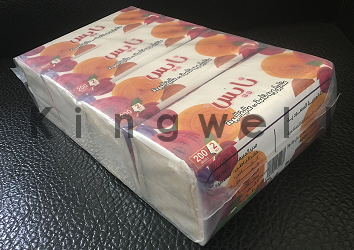 Full automatic facial tissue bundling machine-D280(图4)