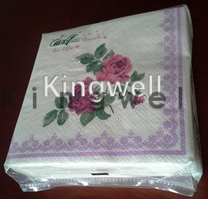 Facial tissue/Napkin single pack machine(double head)-D610BF(图2)