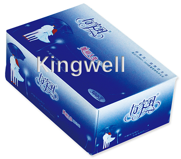 Box Packing machine(Full automatic)(图2)